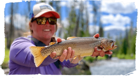 Hunting Trips in Cody, WY | Boulder Basin Outfitters